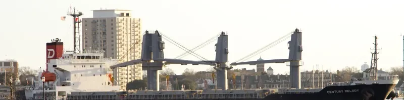 CENTURY MELODY Bulk Carrier IMO 9580211 photo 9