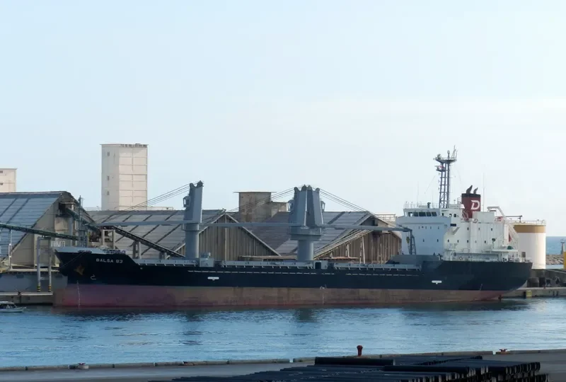 BALSA 83 General Cargo IMO 9580247 photo 2