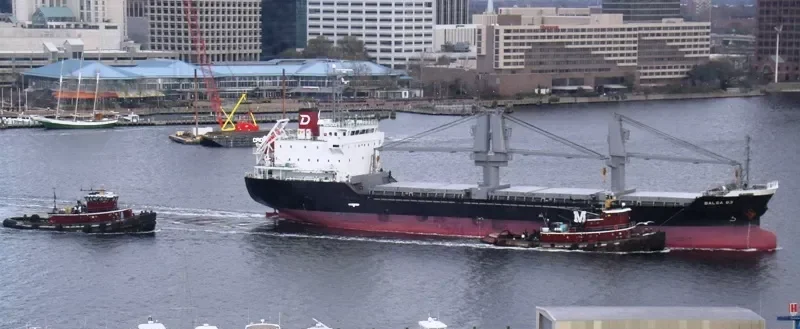 BALSA 83 General Cargo IMO 9580247 photo 7