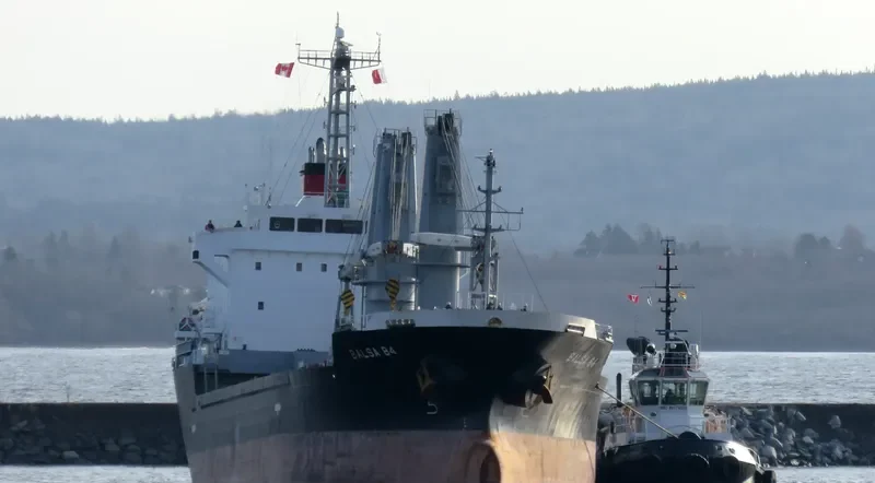 BALSA 84 General Cargo IMO 9580259 photo 3