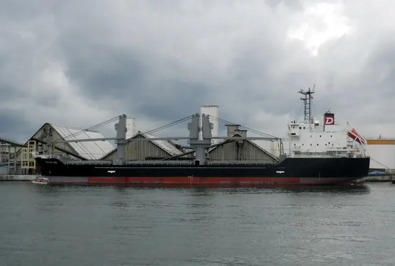 BALSA 85 General Cargo IMO 9580261
