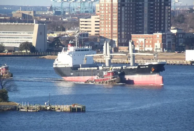 BALSA 85 General Cargo IMO 9580261 photo 2