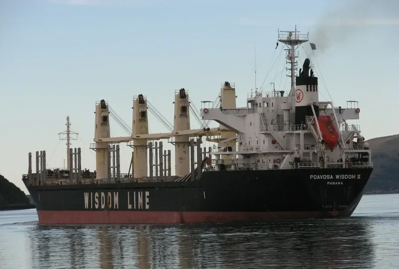 POAVOSA WISDOM III Bulk Carrier IMO 9580314 photo 2