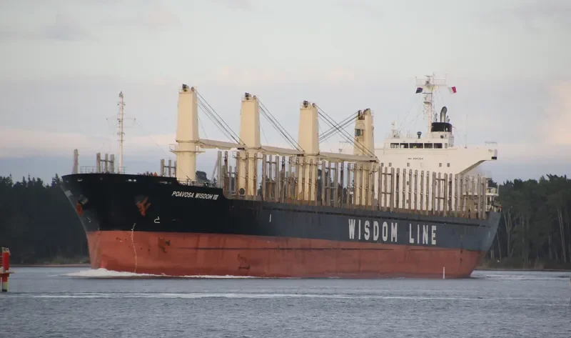POAVOSA WISDOM III Bulk Carrier IMO 9580314 photo 6