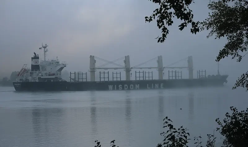 POAVOSA WISDOM III Bulk Carrier IMO 9580314 photo 7