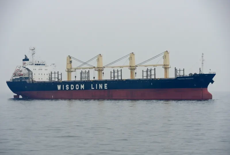 POAVOSA WISDOM III Bulk Carrier IMO 9580314 photo 9