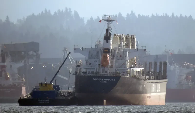 POAVOSA WISDOM III Bulk Carrier IMO 9580314 photo 10
