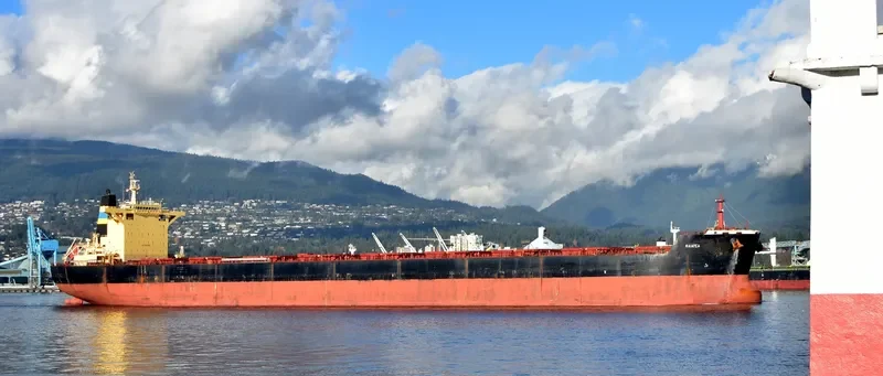 RAIATEA Bulk Carrier IMO 9580376 photo 3