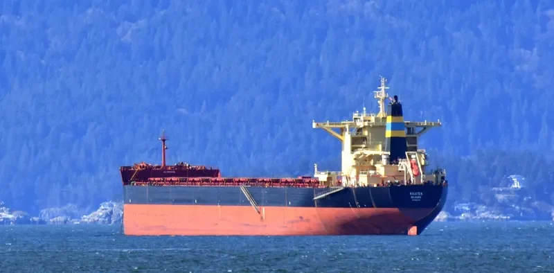 RAIATEA Bulk Carrier IMO 9580376 photo 6