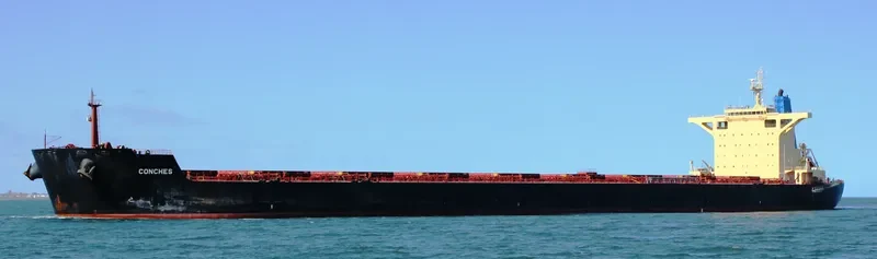 RAIATEA Bulk Carrier IMO 9580376 photo 7