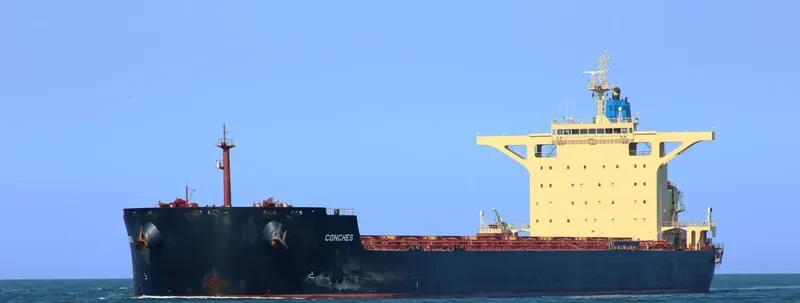 RAIATEA Bulk Carrier IMO 9580376 photo 8