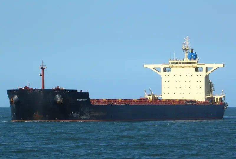 RAIATEA Bulk Carrier IMO 9580376 photo 9