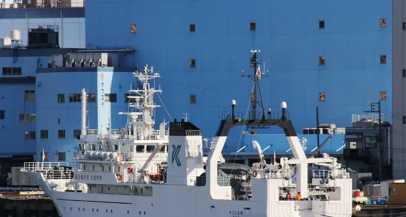 KAGOSHIMA MARU General Cargo IMO 9580479