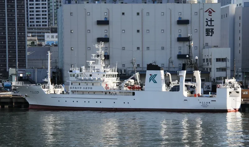 KAGOSHIMA MARU General Cargo IMO 9580479 photo 2
