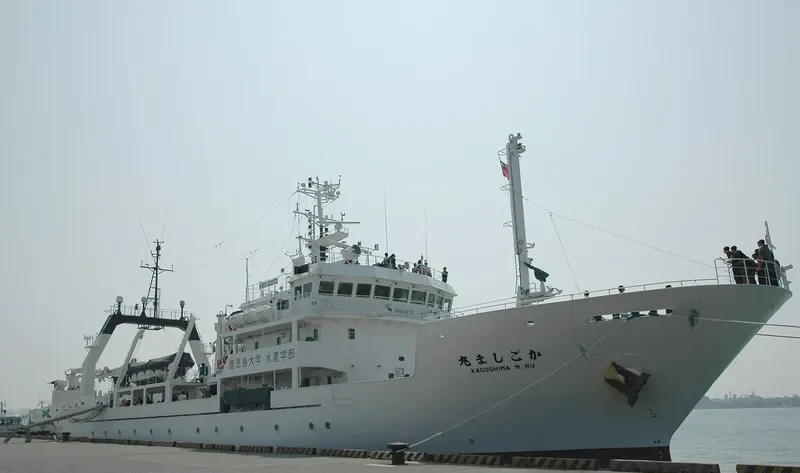 KAGOSHIMA MARU General Cargo IMO 9580479 photo 5