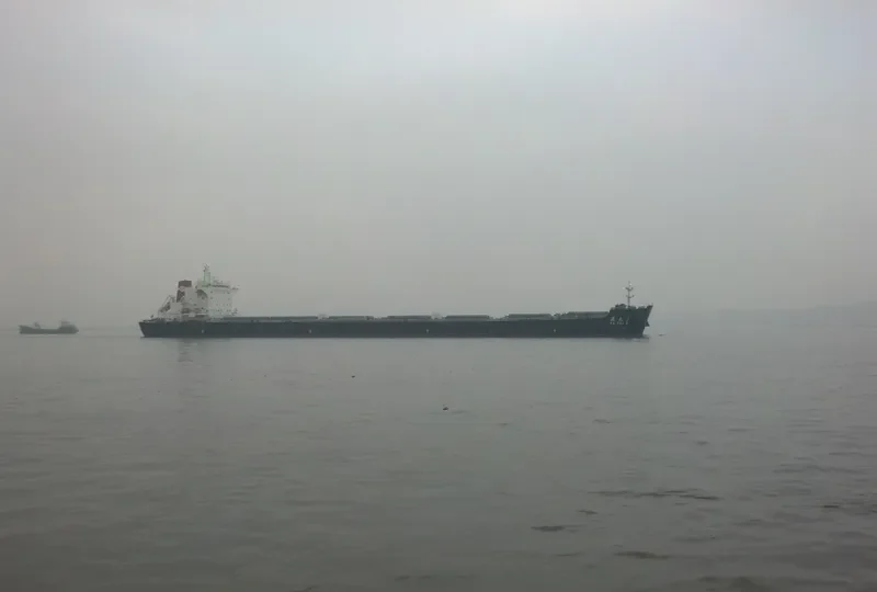 YING HAO 03 Bulk Carrier IMO 9580481