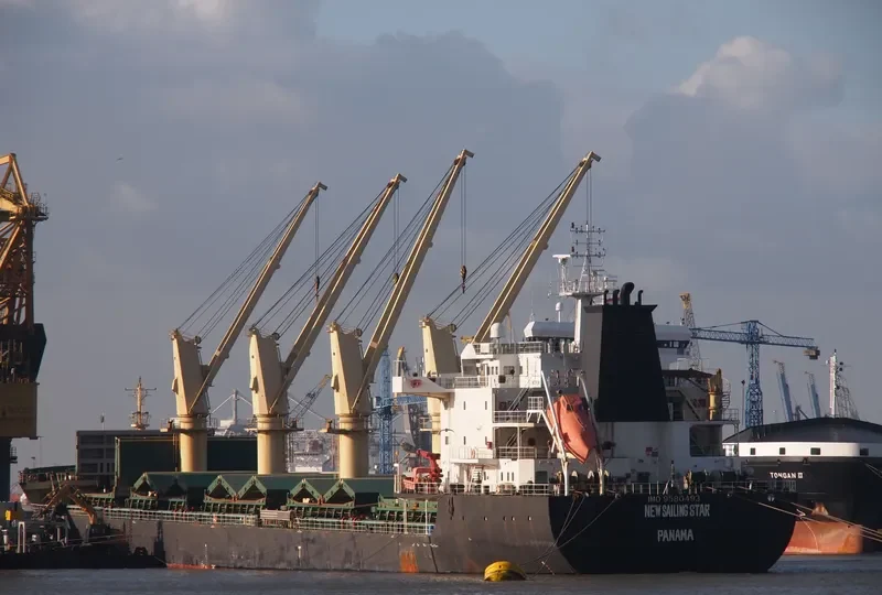 TAN BINH 239 Bulk Carrier IMO 9580493 photo 6