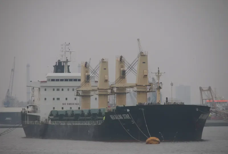 TAN BINH 239 Bulk Carrier IMO 9580493 photo 7