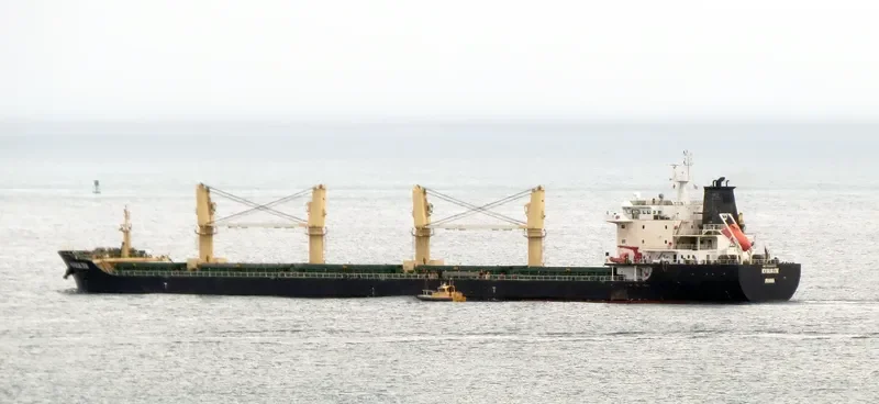 TAN BINH 239 Bulk Carrier IMO 9580493 photo 9