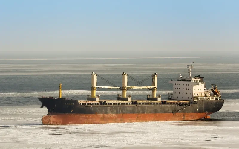 OUPULAI 18 Bulk Carrier IMO 9581033 photo 4