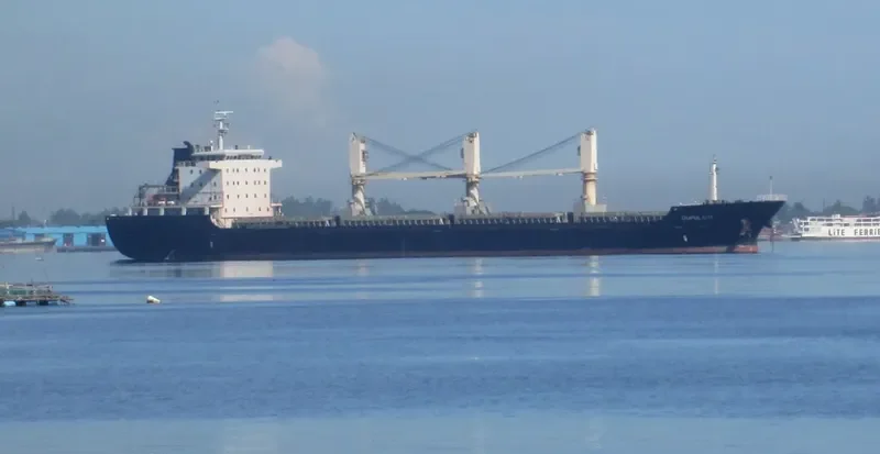 OUPULAI 18 Bulk Carrier IMO 9581033 photo 7