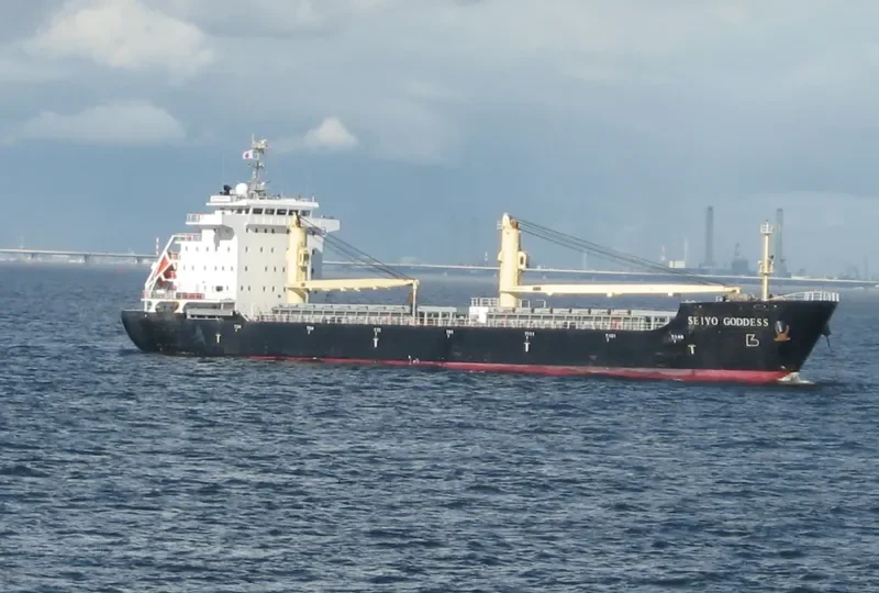 SEIYO GODDESS General Cargo IMO 9581045 photo 4