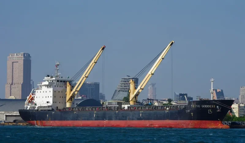 SEIYO GODDESS General Cargo IMO 9581045 photo 7