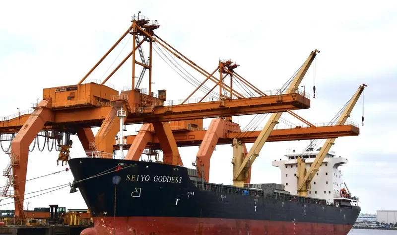 SEIYO GODDESS General Cargo IMO 9581045 photo 9