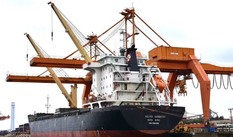 SEIYO GODDESS General Cargo IMO 9581045 photo 10