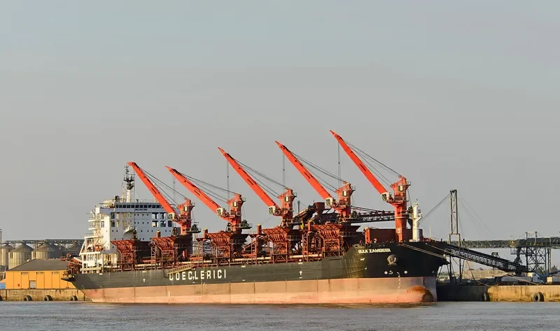 RT LEO Bulk Carrier IMO 9581136