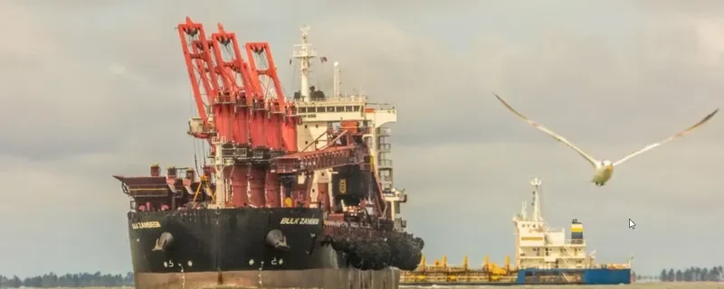 RT LEO Bulk Carrier IMO 9581136 photo 2