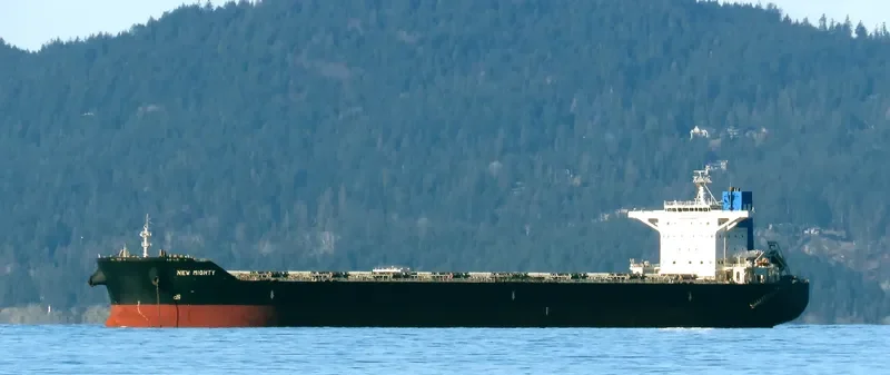 HL GLADSTONE Bulk Carrier IMO 9581174