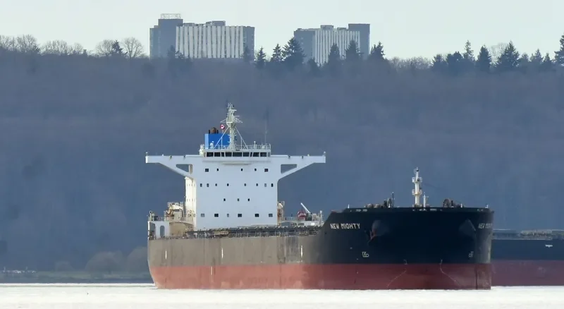 HL GLADSTONE Bulk Carrier IMO 9581174 photo 2