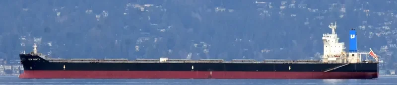 HL GLADSTONE Bulk Carrier IMO 9581174 photo 3