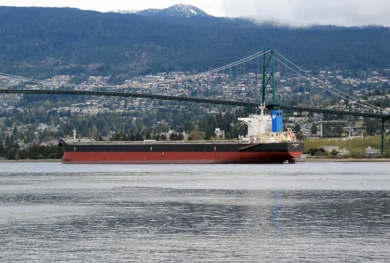 HL GLADSTONE Bulk Carrier IMO 9581174 photo 9