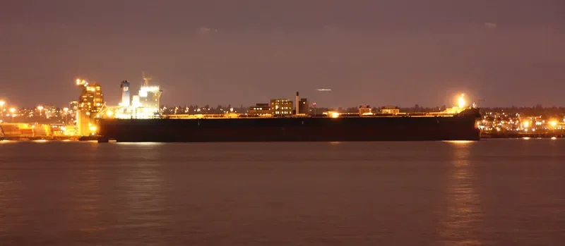 HL GLADSTONE Bulk Carrier IMO 9581174 photo 10