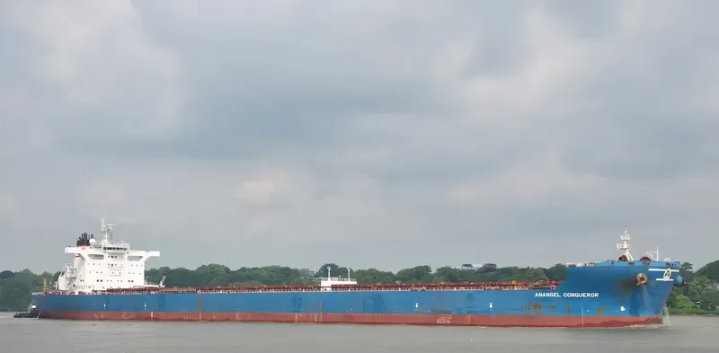 MARAN CONQUEROR Bulk Carrier IMO 9581241 photo 3