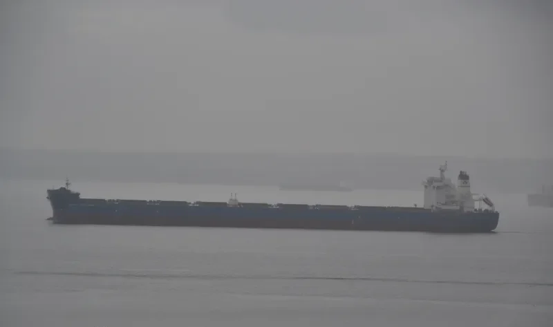 MARAN CONQUEROR Bulk Carrier IMO 9581241 photo 9