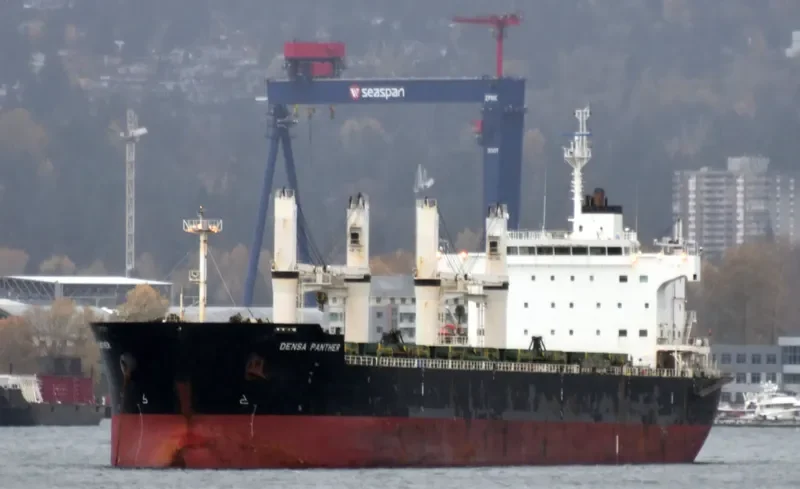BEKS SKY Bulk Carrier IMO 9581368 photo 2