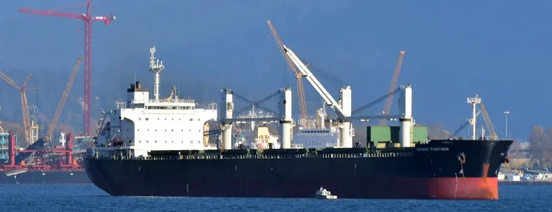 BEKS SKY Bulk Carrier IMO 9581368 photo 3