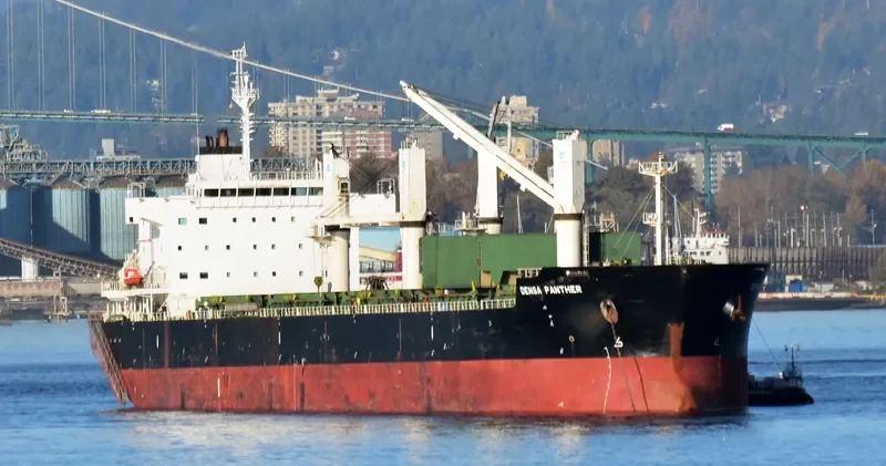 BEKS SKY Bulk Carrier IMO 9581368 photo 5
