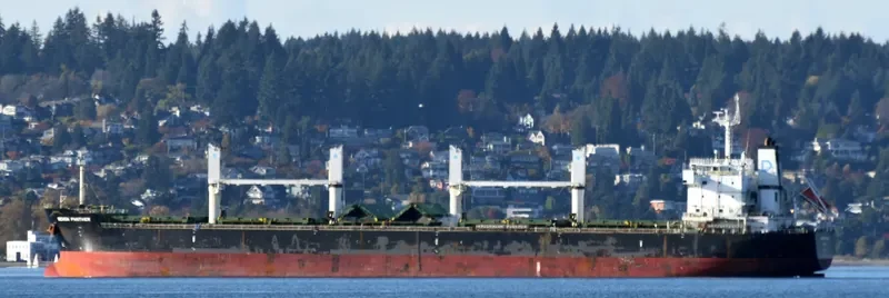 BEKS SKY Bulk Carrier IMO 9581368 photo 6