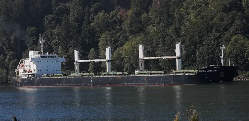 BEKS NORTH Bulk Carrier IMO 9581370