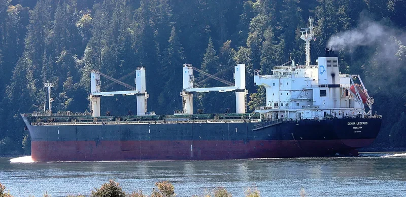 BEKS NORTH Bulk Carrier IMO 9581370 photo 2