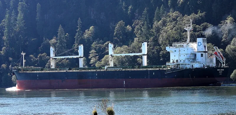BEKS NORTH Bulk Carrier IMO 9581370 photo 3