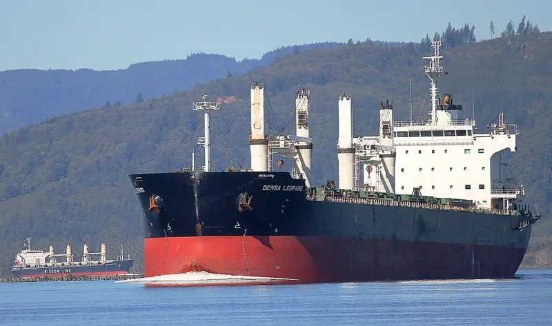 BEKS NORTH Bulk Carrier IMO 9581370 photo 5