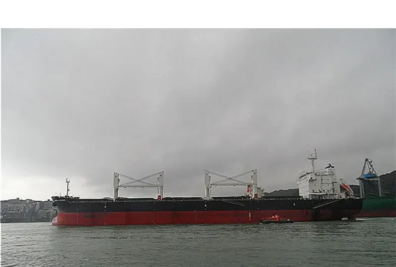 BEKS NORTH Bulk Carrier IMO 9581370 photo 8