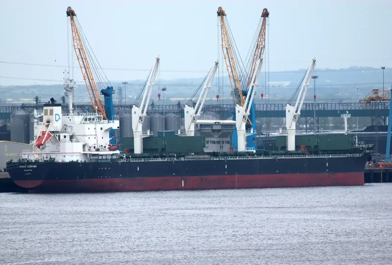 BEKS NORTH Bulk Carrier IMO 9581370 photo 10
