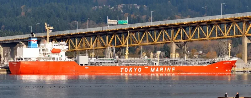 GINGA OCELOT Tanker IMO 9581423 photo 3