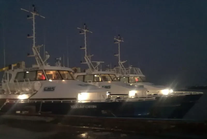 GIZ GALASI General Cargo IMO 9581552